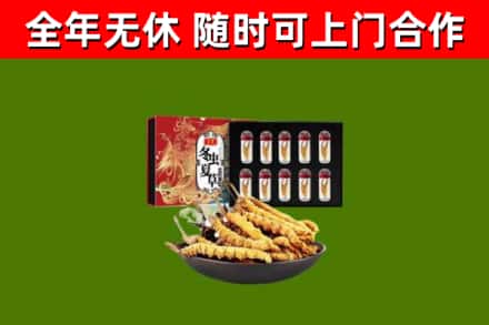 衡东县回收冬虫夏草价格